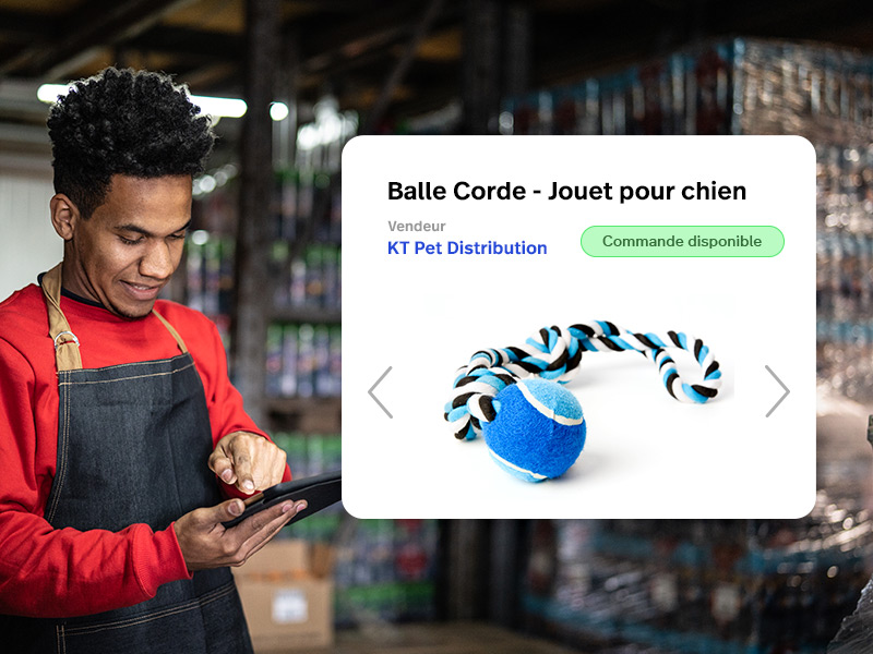 欢庆我们的家园réseau动物之家